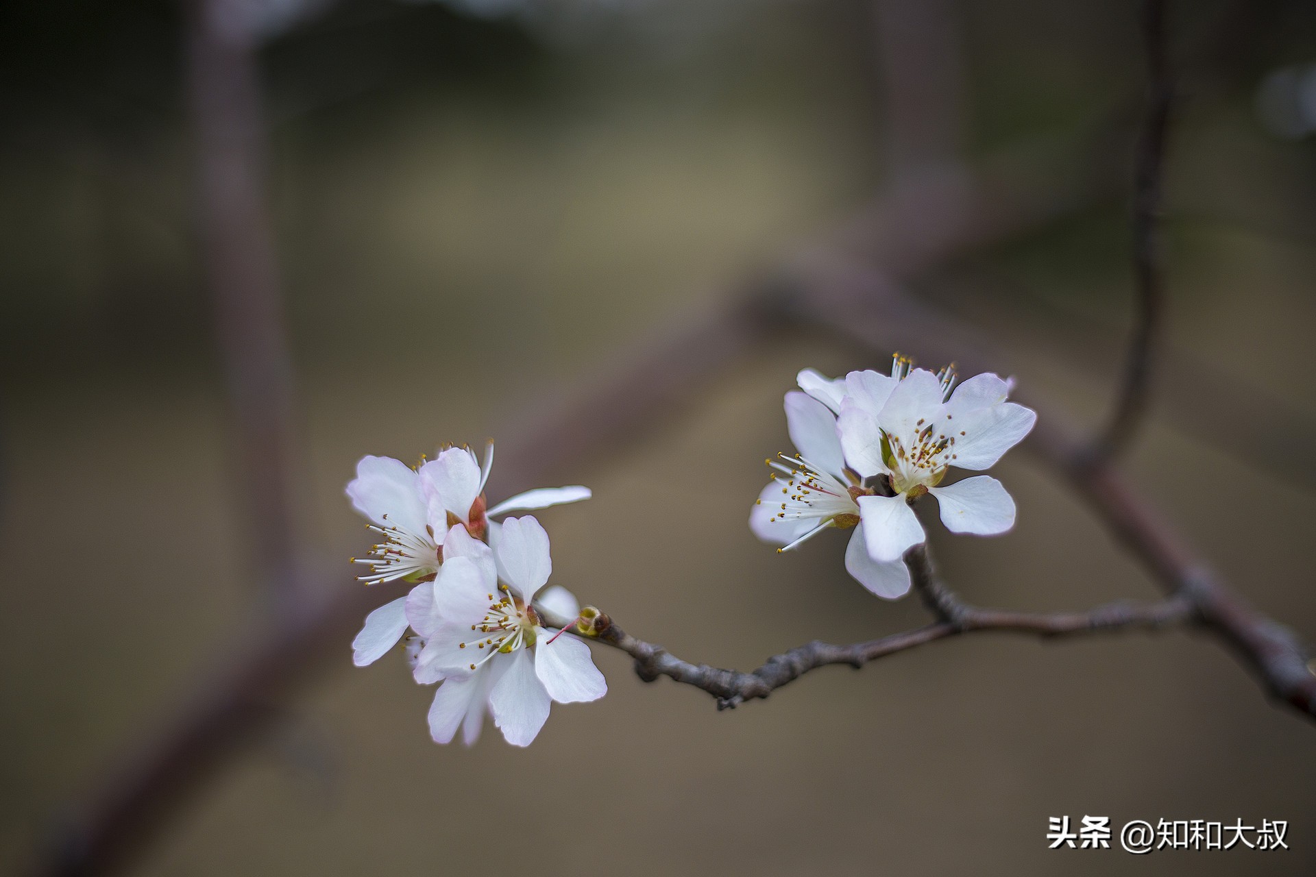 一个幸福女人的六个习惯,一个女人的幸福三大条件