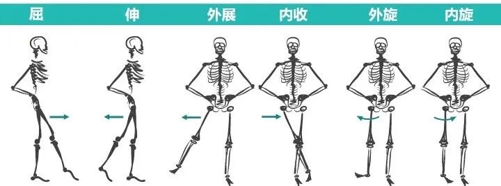 练瑜伽时弯腰时背不平是怎么回事,练瑜伽蹲着时脚掌放不平