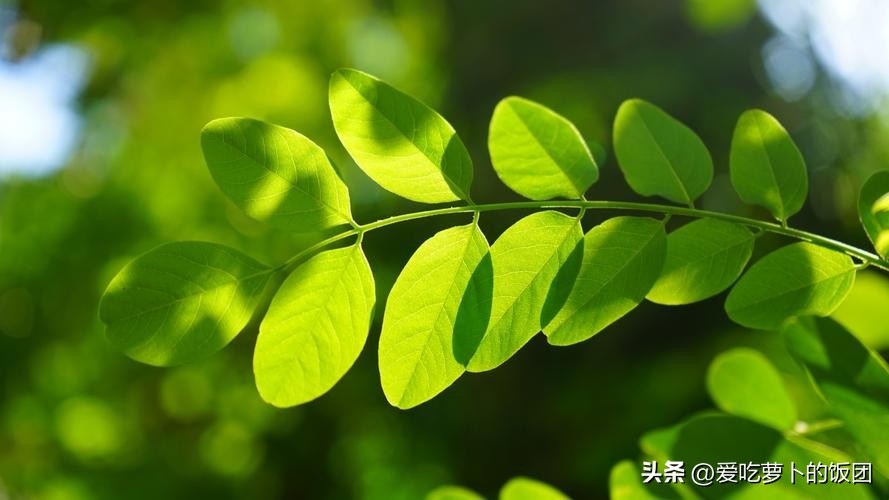 合肥三河古镇值得玩吗,合肥都有哪些好玩的地方推荐一下