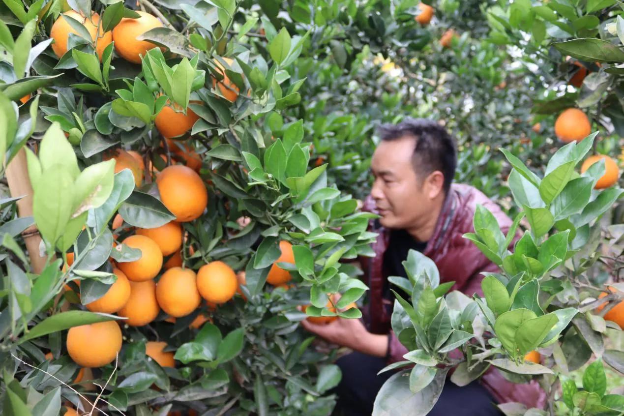 宜宾南溪区仙源街道,宜宾南溪区仙源街道最新消息