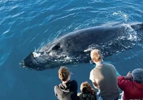 多米尼加是富饶国家吗,多米尼加十大冷知识