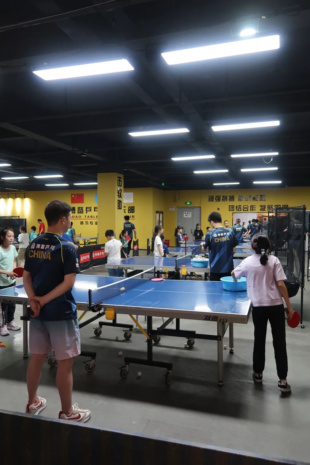 收藏乒乓球推荐,收藏价值高羽毛球拍