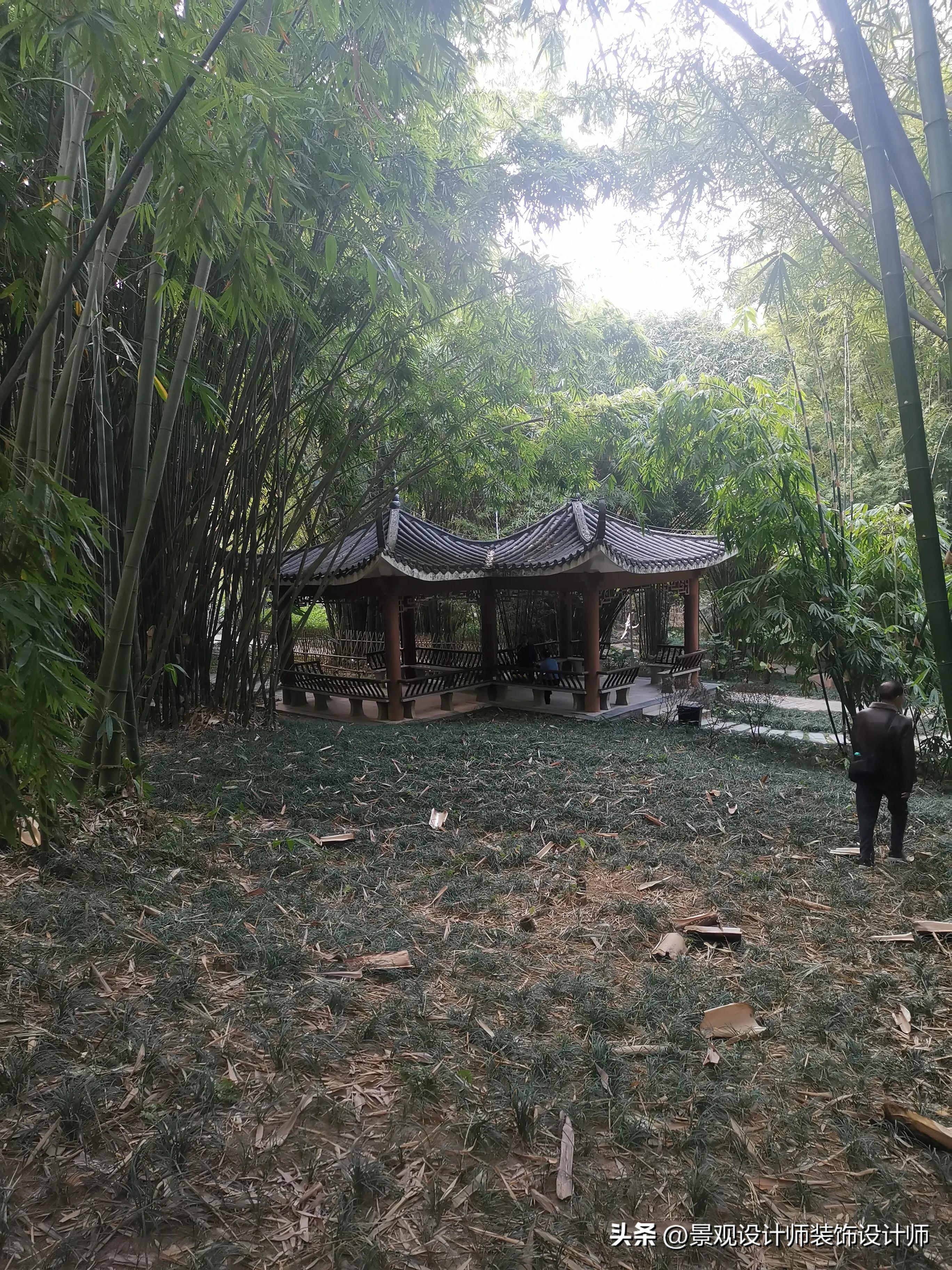 南宁市狮山公园办公区,南宁市狮山公园地址