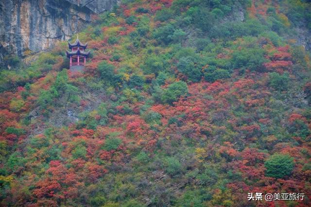 长江黄金6号游轮视频,长江黄金7号游轮哪里建造