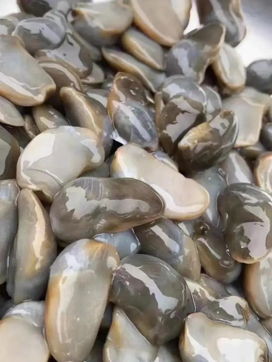 丹东附近的避暑好地方,丹东出去避暑自驾游3-4天最佳路线