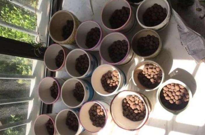 养花时花盆底下的小洞可以堵上吗,花盆下面垫个塑料盆会烂根吗