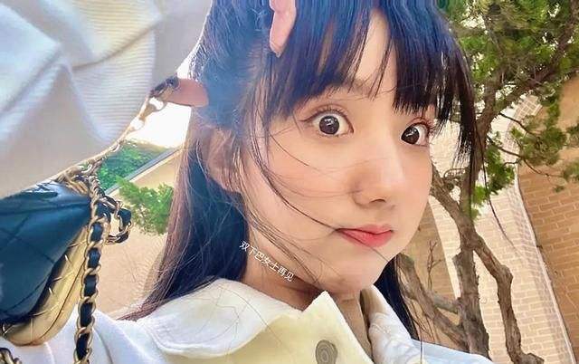 内娱谁的鼻子整过,内娱谁的鼻子最好看