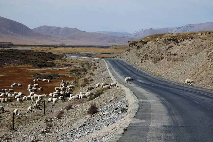 天峻到木里煤矿道路,天峻县到木里镇路过的雪山