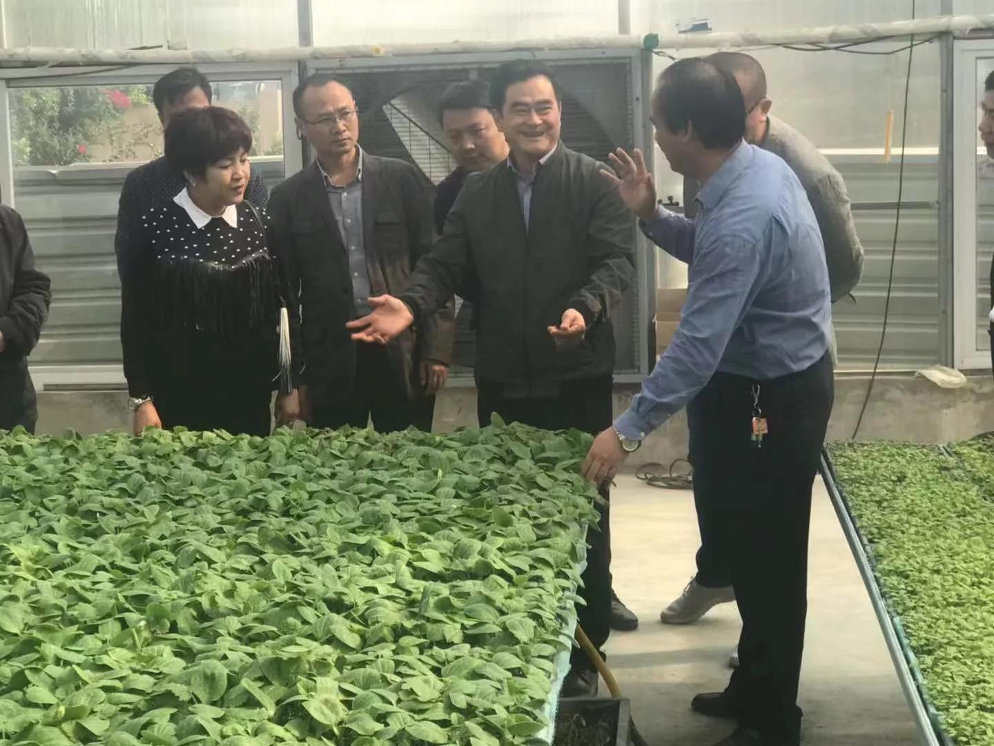 供销社是什么编制,供销社是什么性质单位