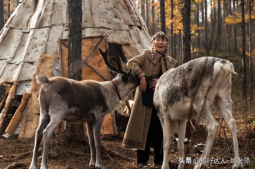 呼伦贝尔塞北草原旅行,呼伦贝尔金秋自驾游