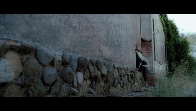 超高能反转电影,吓到腿软的电影