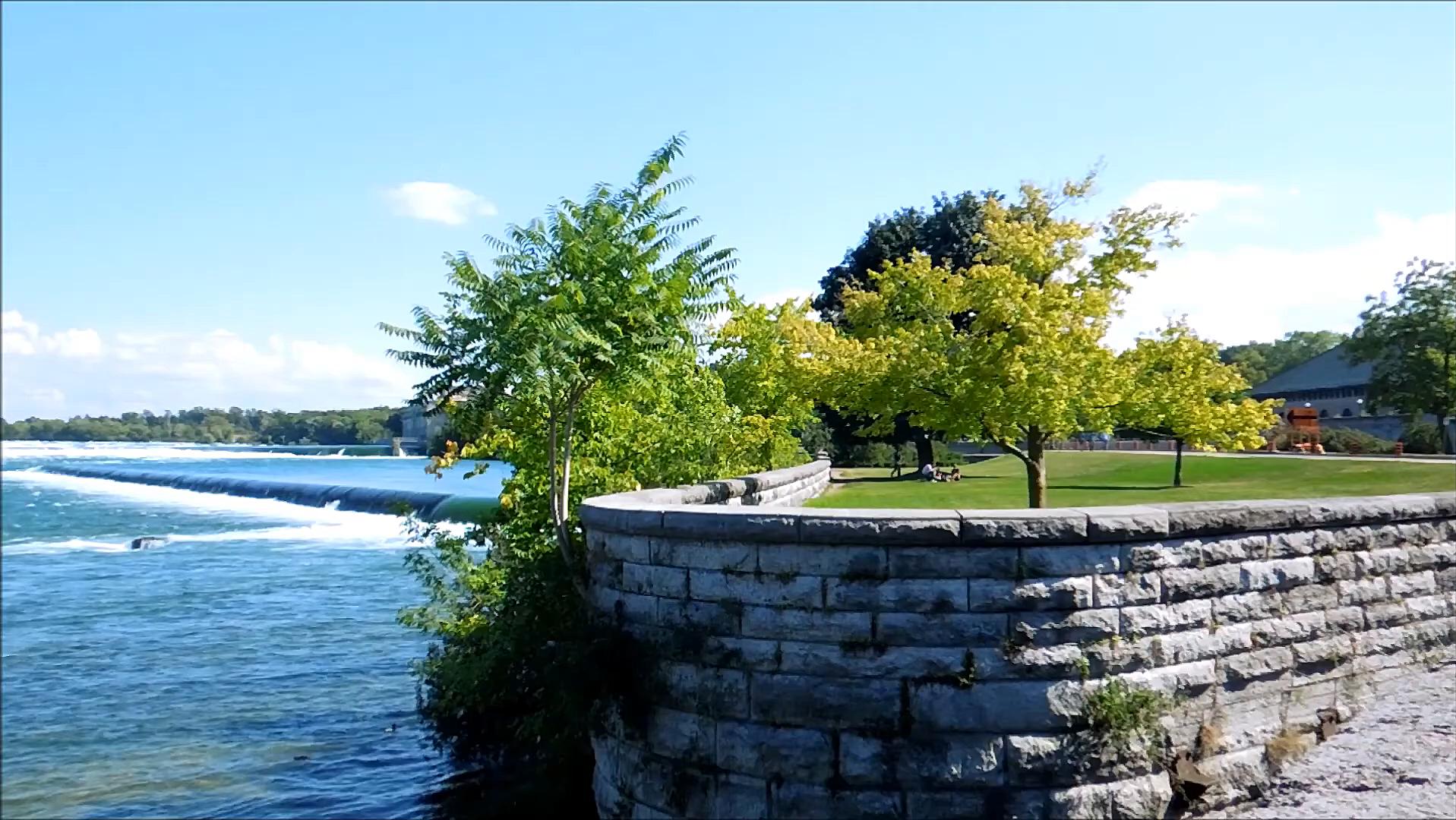 臭椿在美国泛滥成灾,臭椿树在国外泛滥成灾