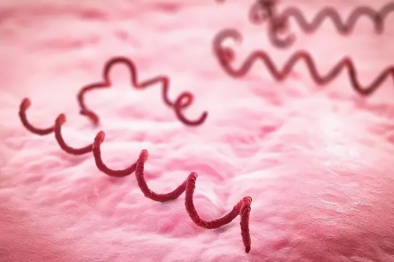 8种性传播疾病,八种性传播疾病最难治疗的是哪些