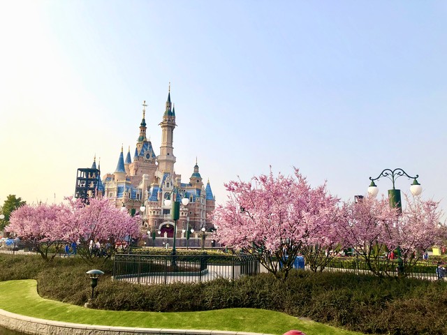 上海十大经典景点,最新上海十大景点