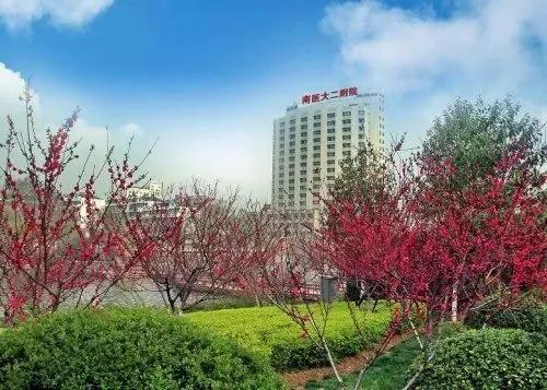 春节查的资料,过年问诊