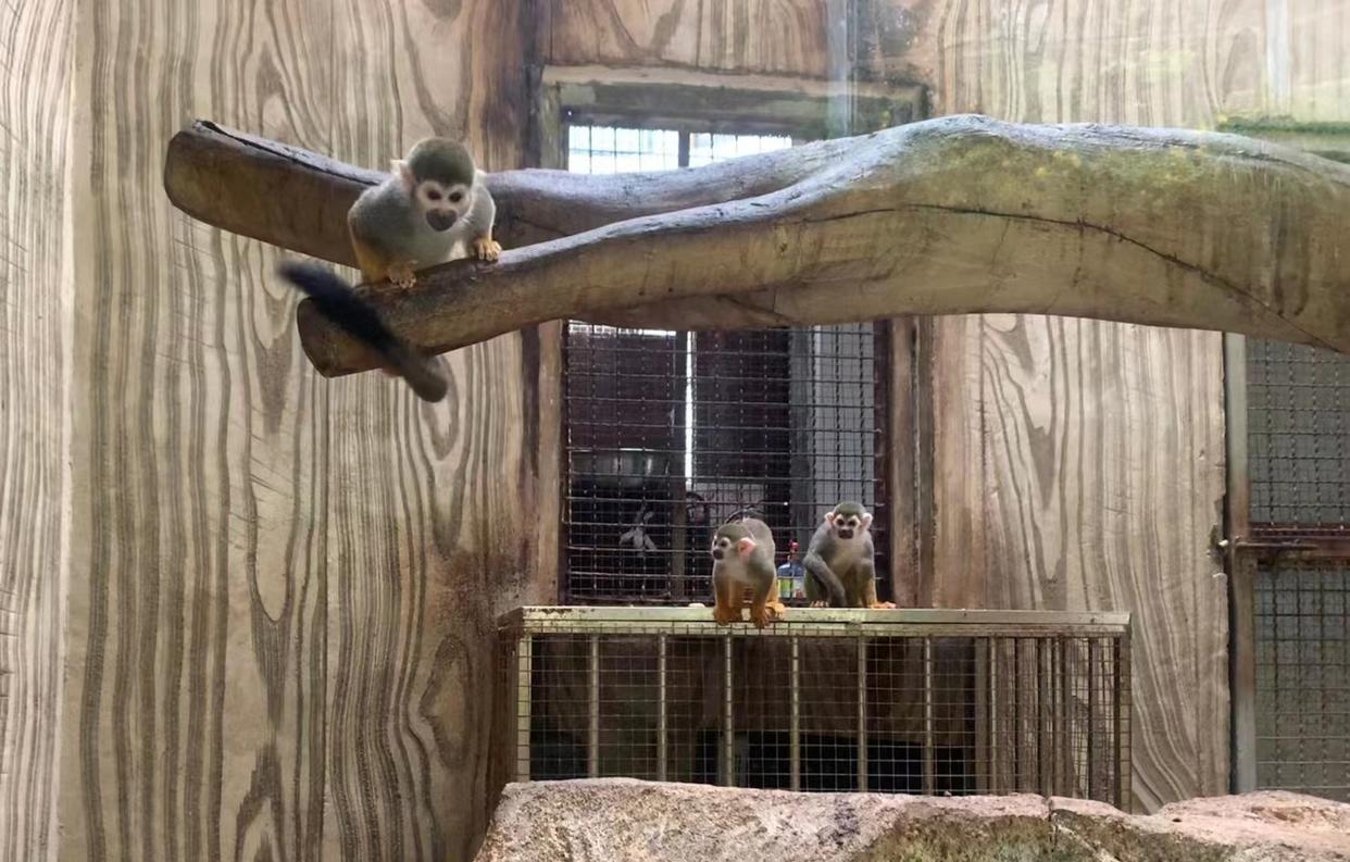 去贵州避暑一日游,贵州适合避暑旅居的地方