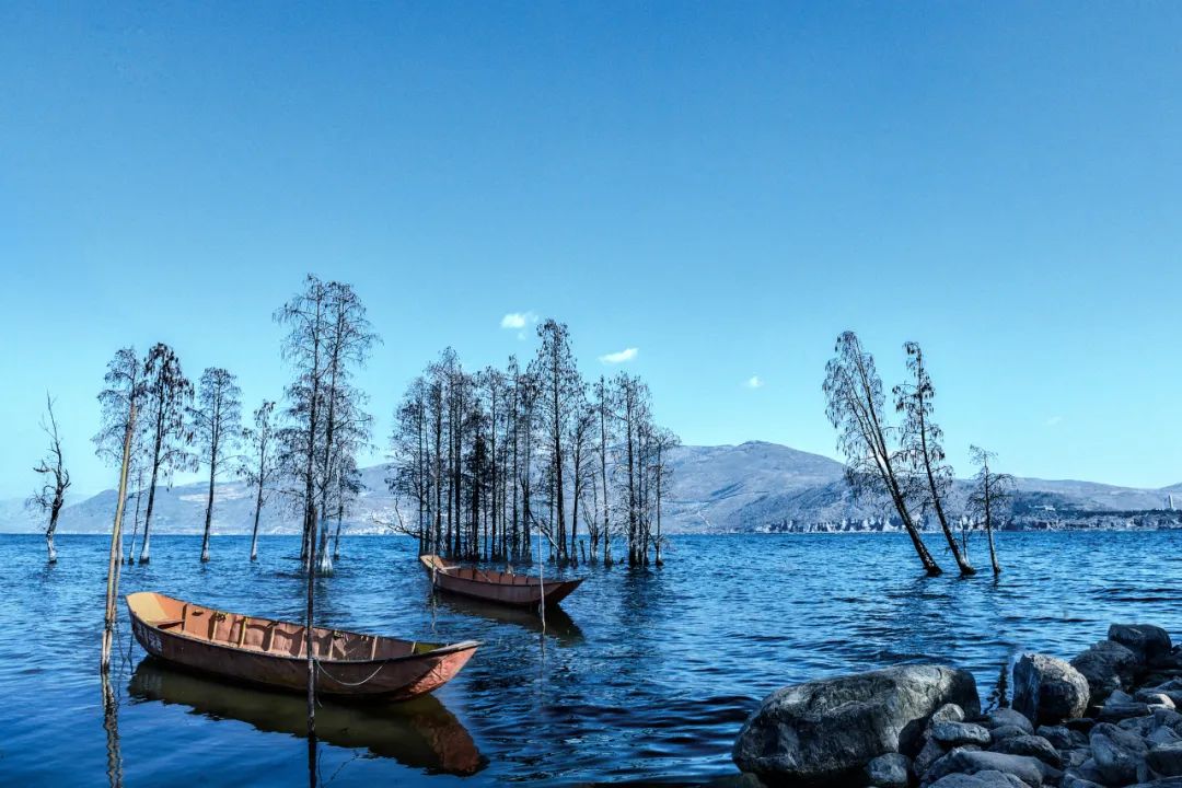 春节云南旅游详细攻略,云南春节旅游攻略最全推荐