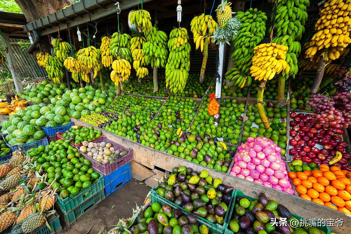 华人占五分之一的马来西亚,水果不止榴莲一种,奇珍异果飘香全年