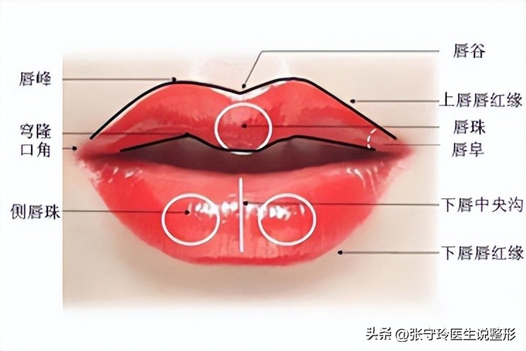 公认最好看的4个唇形是什么,公认的四种好看唇形