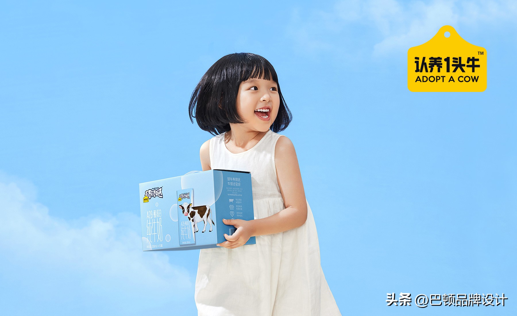 品牌全案策划费用,品牌全案策划详细步骤