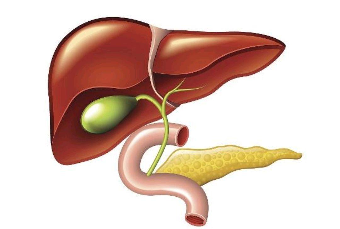 服用他汀和阿司匹林的禁忌是什么,医生长期服用他汀的后果