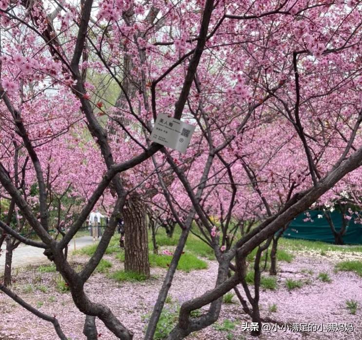 在小区如何避免交叉感染 (如何预防去超市被感染)