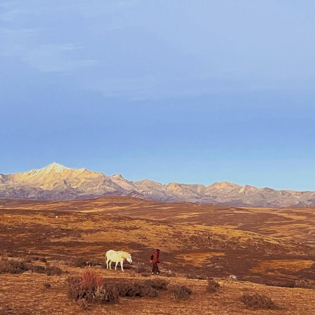 听完这条好消息,你可以提前过年了