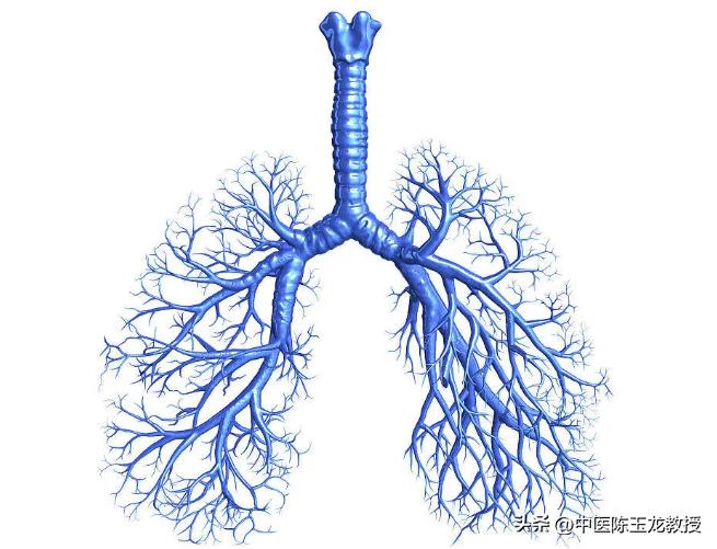 喉咙有痰什么中药泡茶喝有效,喉咙有痰有时咳嗽中药调理