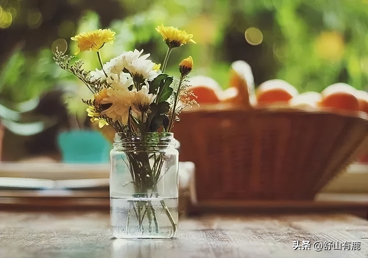 哪十种梦代表好运,人有福气往往生活中做事都很顺利