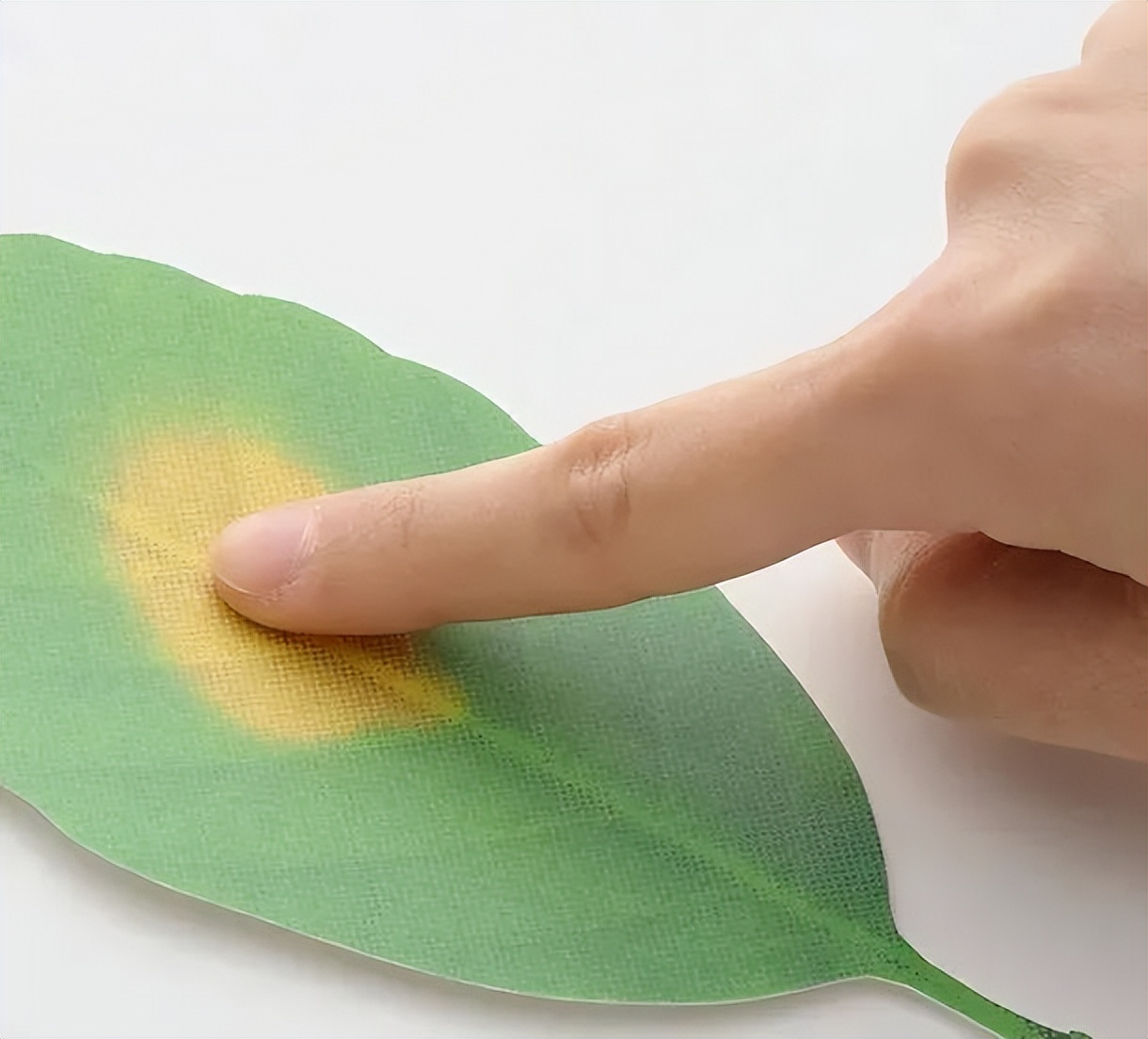 奇奇怪怪又可可爱爱的杂货,都在日本人玩不完的脑洞里