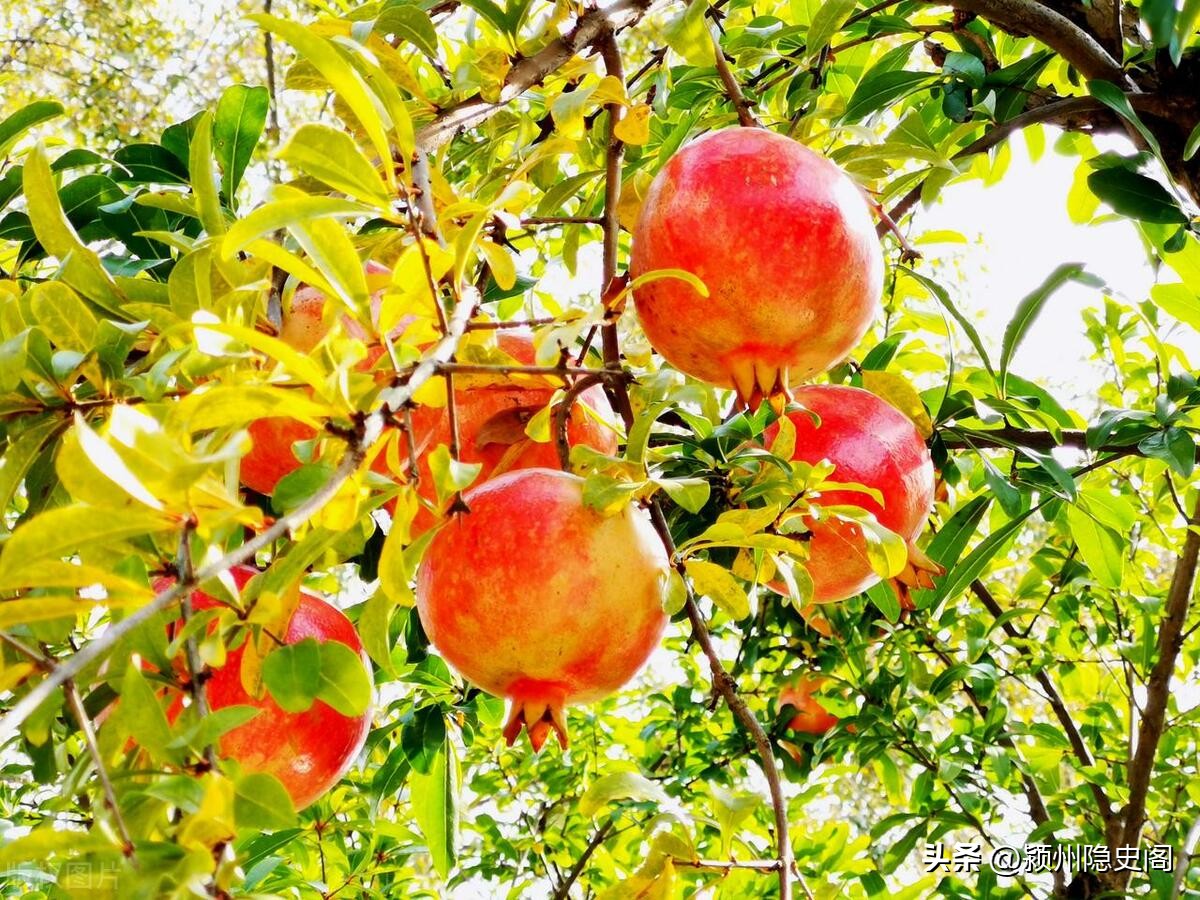 富不过三代有什么寓意,古代都说穷不过三代是什么意思