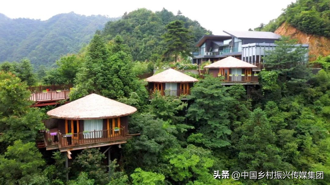 2022乡村振兴扶持项目方案,2023年乡村振兴项目补贴申报指南