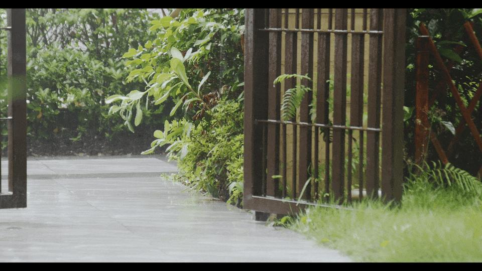 能随身携带的绝对电影感！老蛙变焦电影镜头续作登场