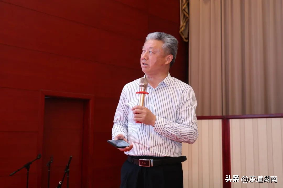 湖南长沙县春茶,2022湖南春茶总结