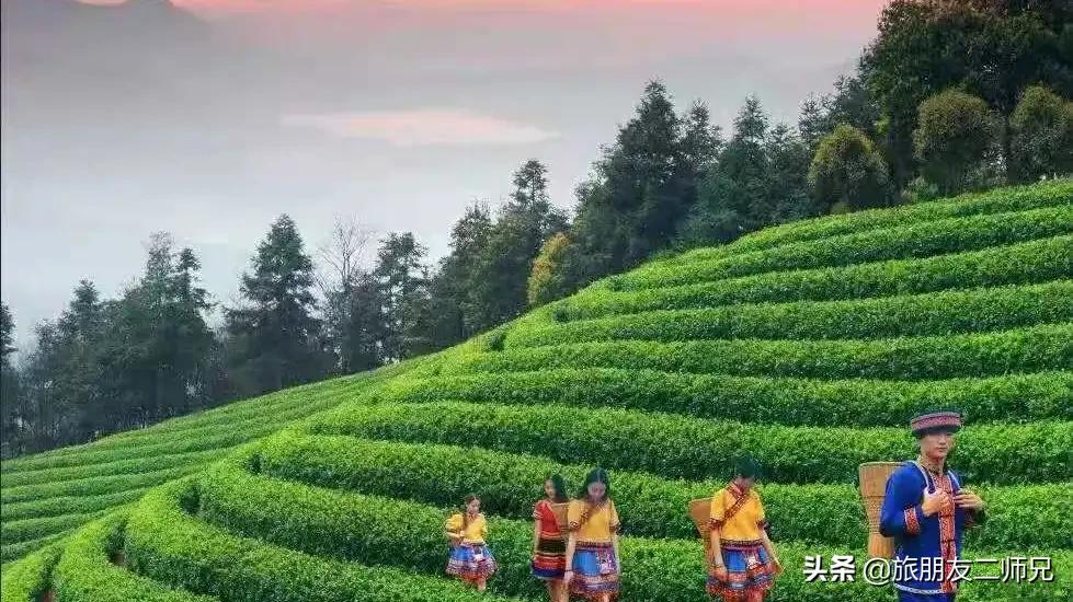 清远金子山旅游攻略看雾凇,广东金子山雪景旅游攻略