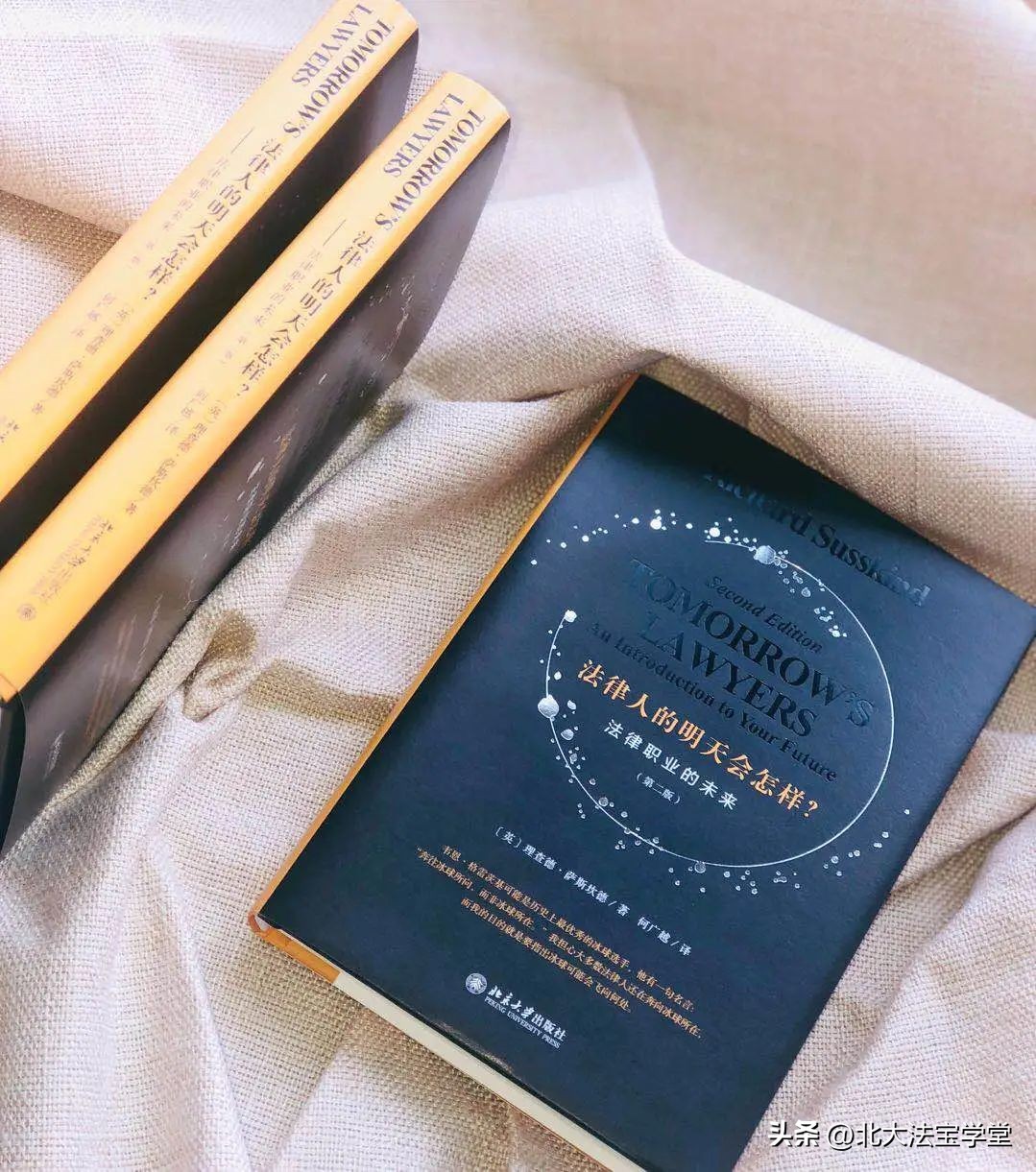 法律人书籍,人工智能法律导论