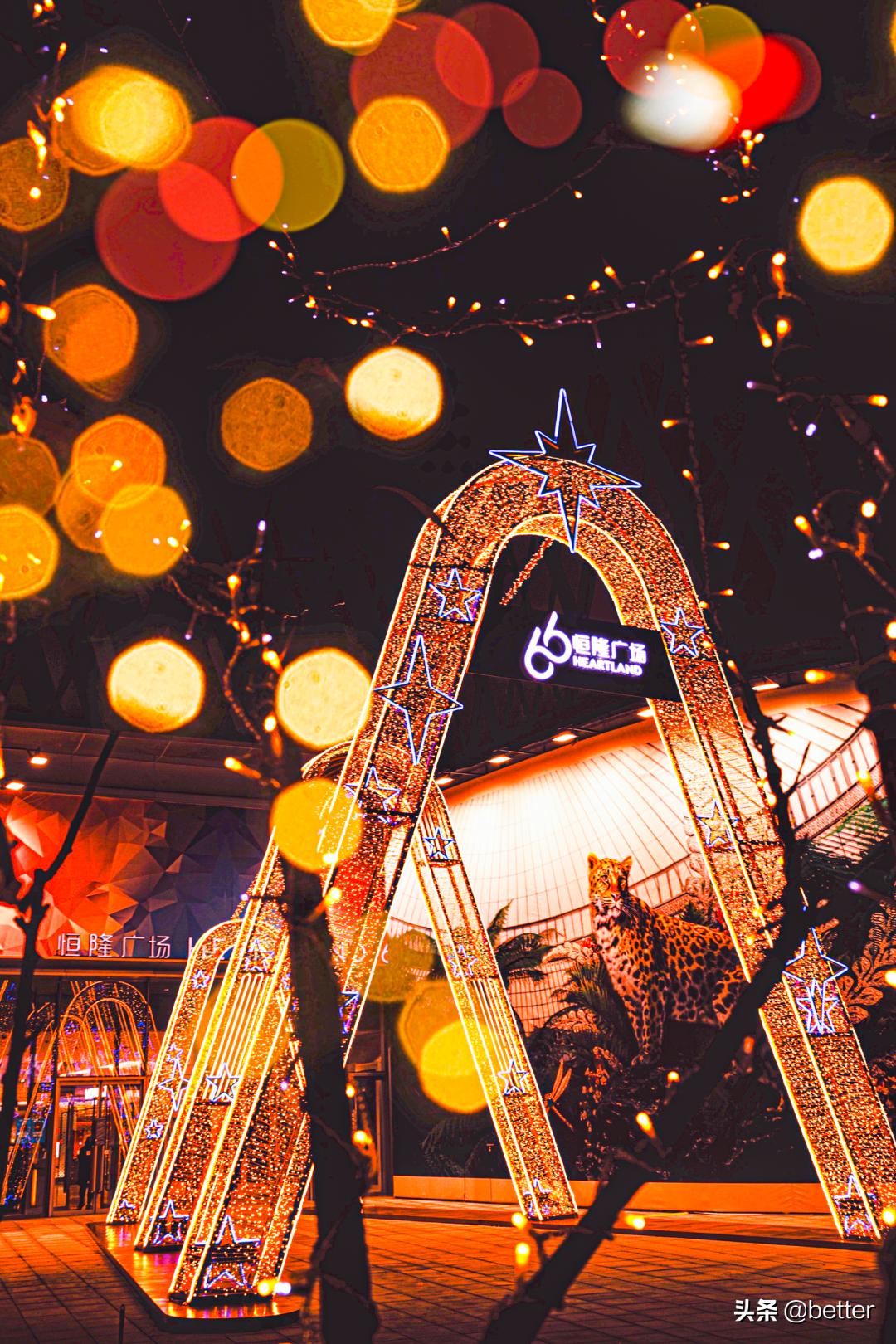 跟随一群奇幻麋鹿，我开启了一场「森」诞之旅