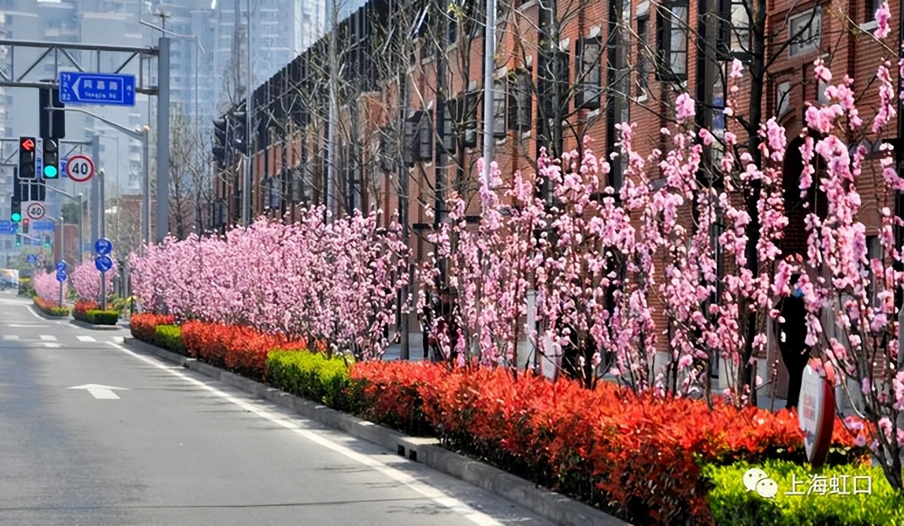 虹口又上热搜啦！这次是因为它→