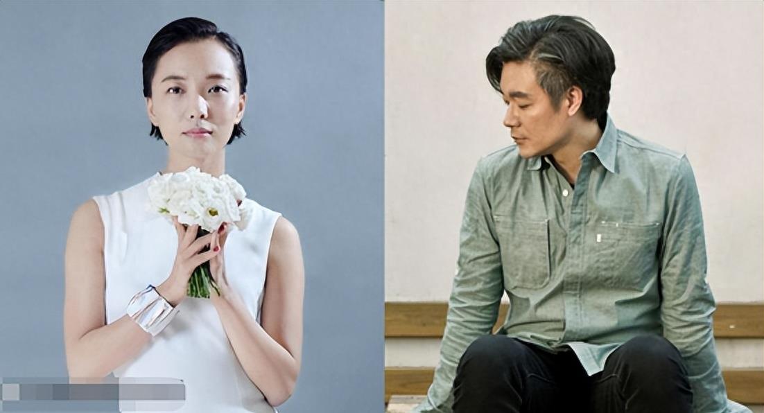 王珞丹丑小鸭的逆袭,王珞丹为什么能东山再起