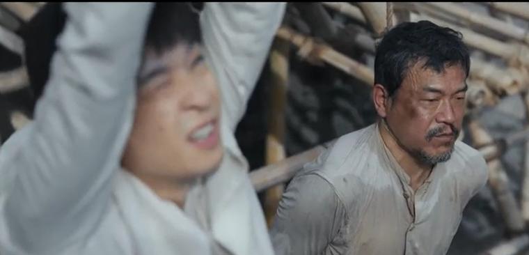 欢颜张译张鲁一廖凡董子健,欢颜电视剧免费看张译廖凡张鲁一