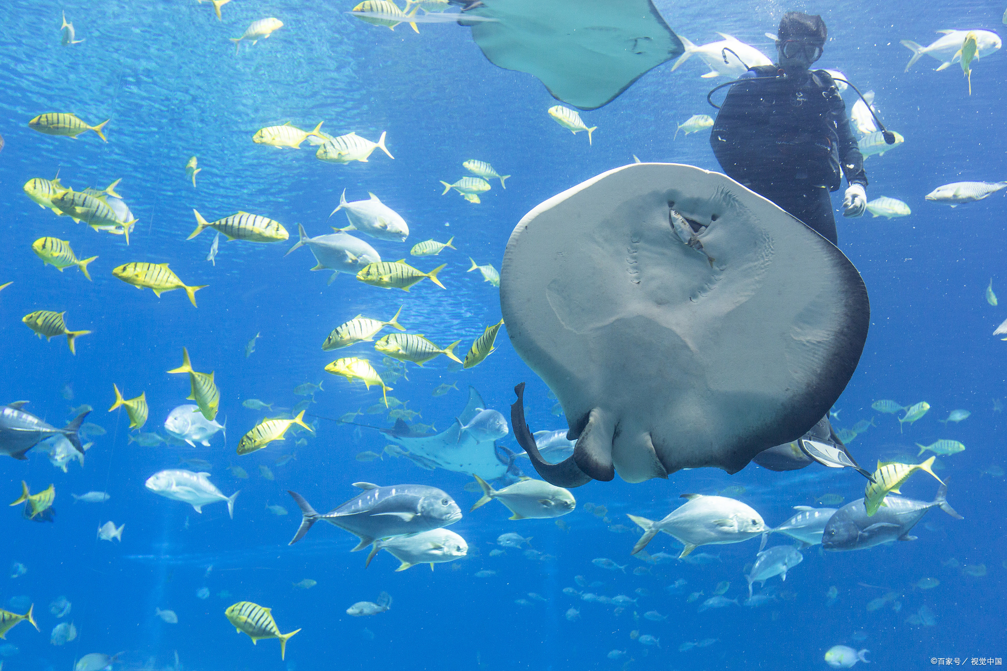 珠海旅游攻略必去景点有哪些,珠海旅游景点推荐有哪些