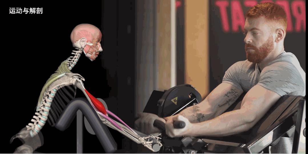 健身运动7种方法变身肌肉男,可以练全身的健身器材男生