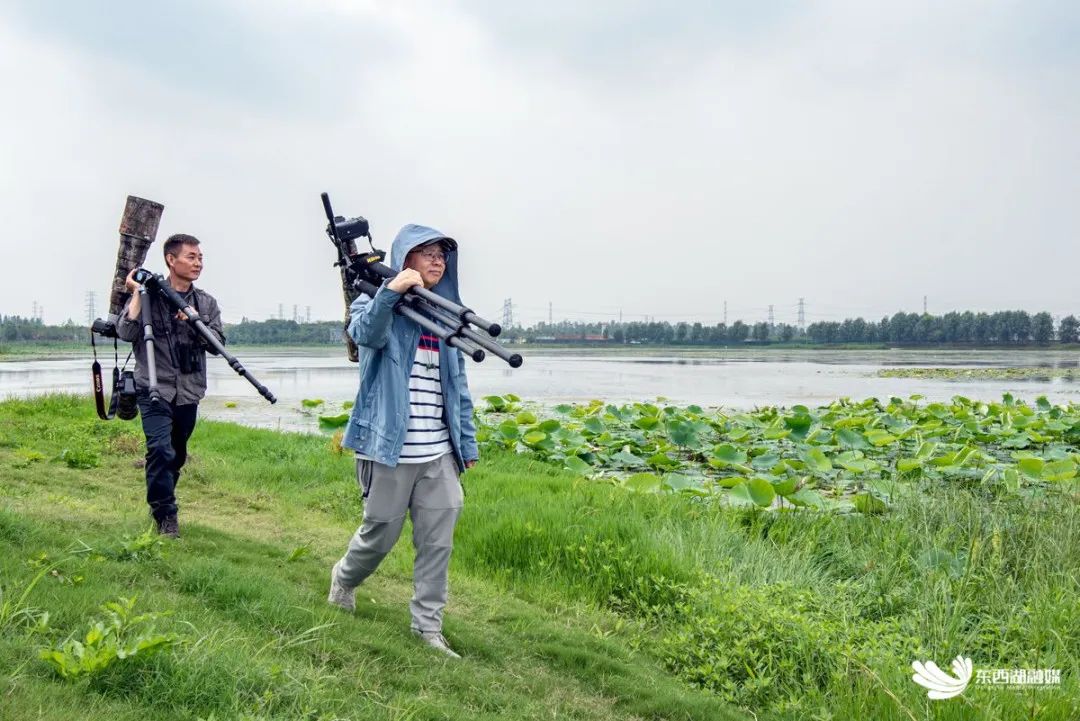 有被惊艳到！“颜值顶流”齐聚东西湖！