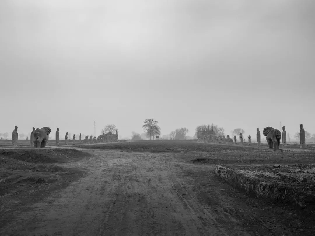 中国街拍最新头条,中国街拍每日一图