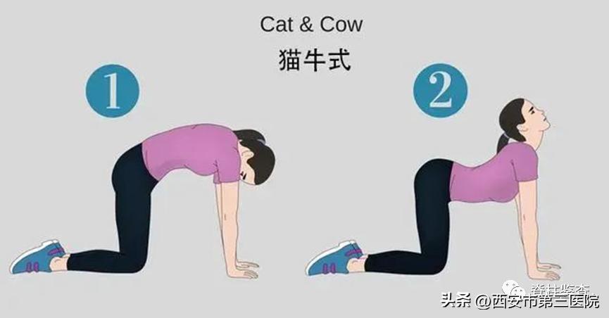 脊柱科普教学视频,关于腰椎间盘的科普知识