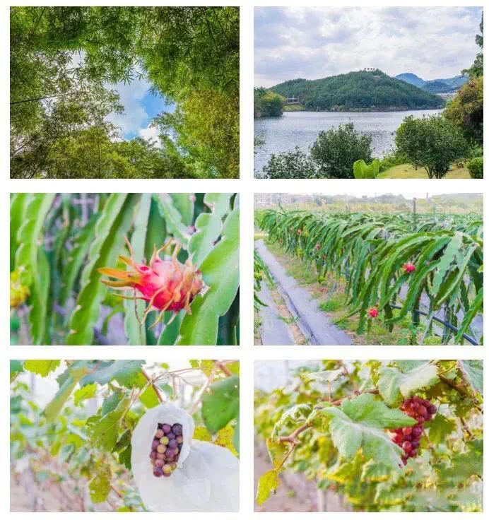 聚龙小镇：离城不离尘的心灵