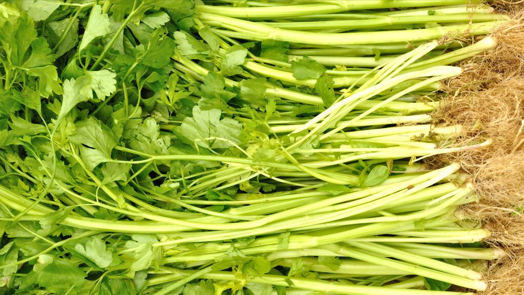 女性多吃这6种食物既美容又养生,女人不舍得花钱吃饭怎么办