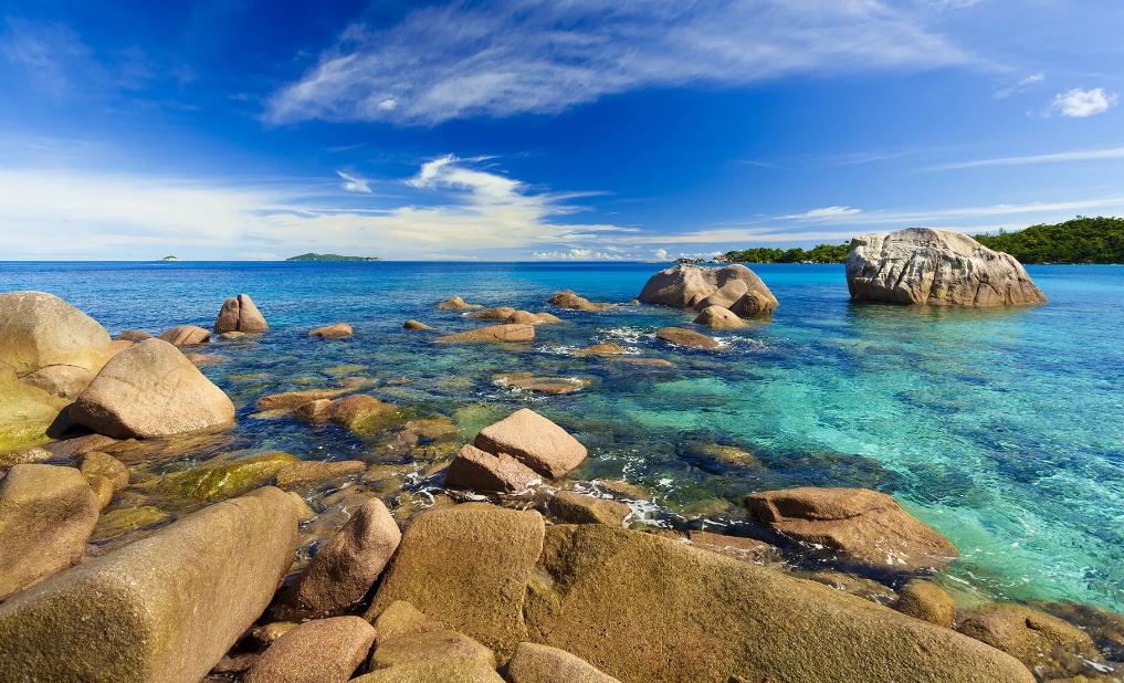 东北小伙一亿买石头,东北小伙花两亿买石头现状