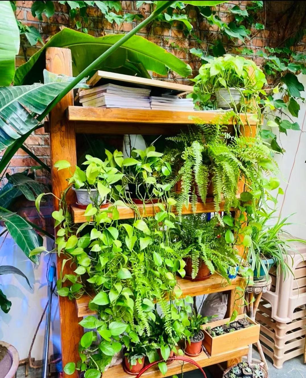 通州美食推荐3-4人餐,通州老字号美食推荐