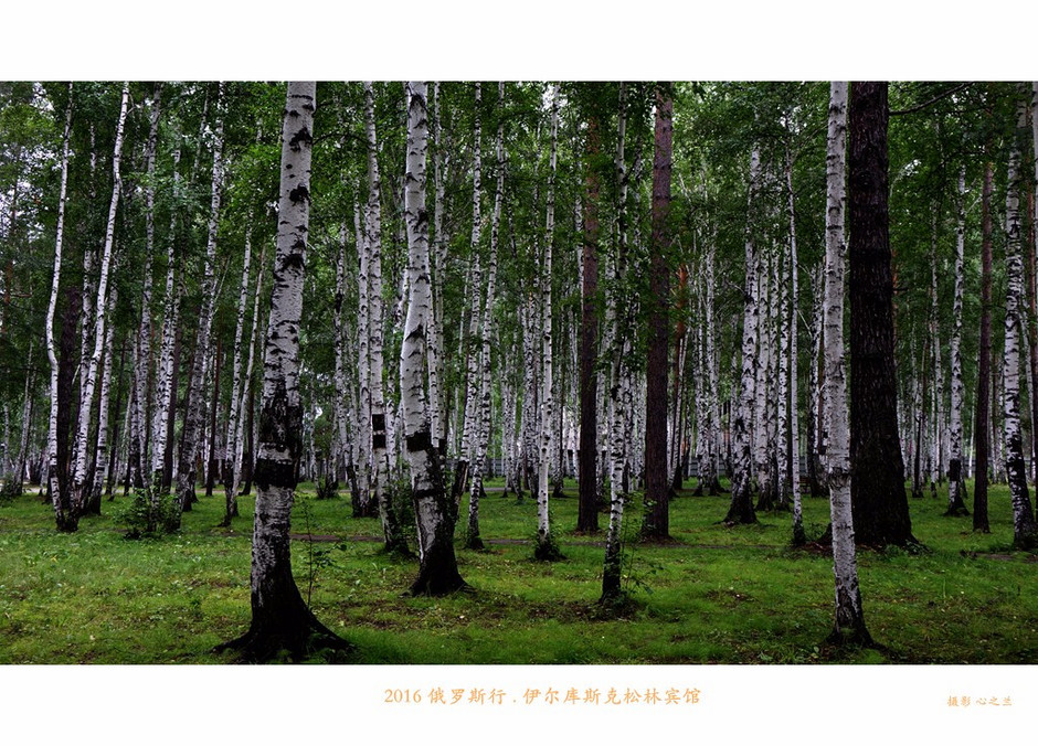 俄罗斯旅行记完整视频,俄罗斯行摄